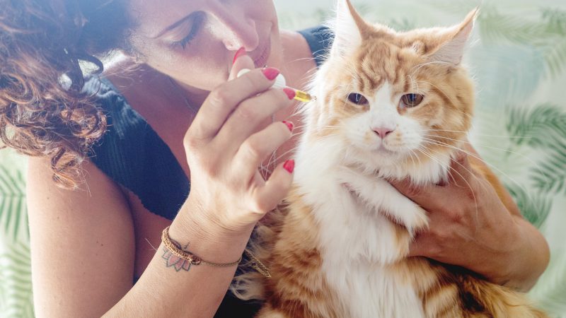 Produkty CBD podbijają nasz kraj